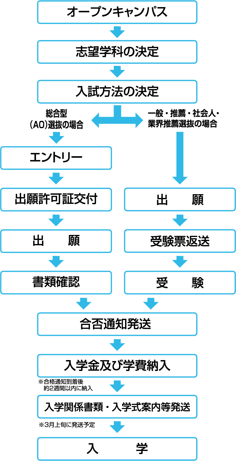 入学までの流れ